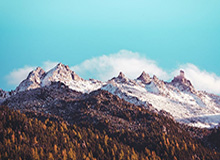 bsport-NBA-杜兰特40分谢泼德高效 火箭战胜魔术